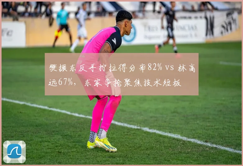 樊振东反手拧拉得分率82% vs 林高远67%，东家争抢聚焦技术短板